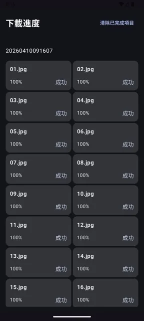 App 原始下載進度截圖，顯示檔案完成百分比與成功狀態